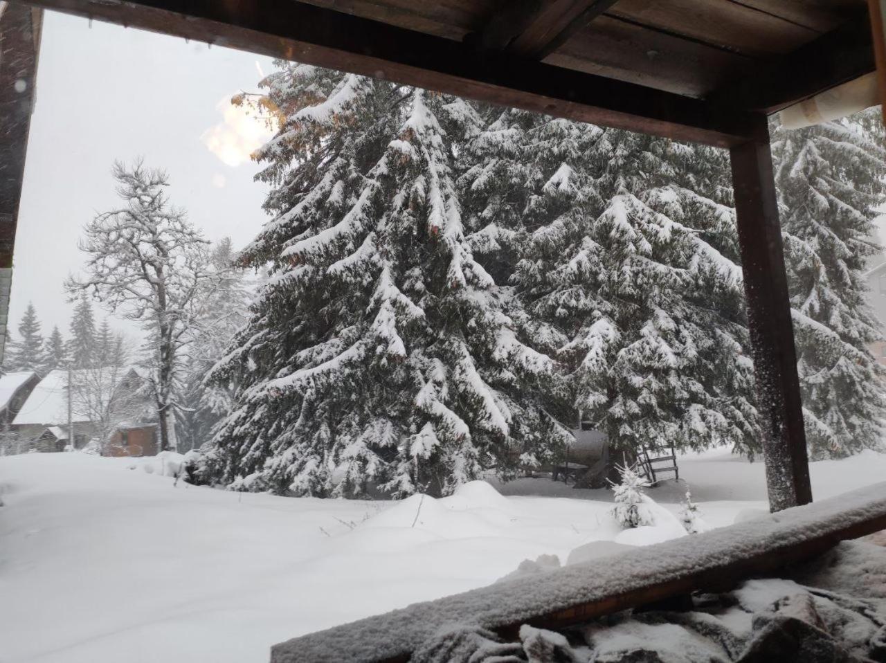 Chalet Sedmica Villa Jahorina Exterior photo