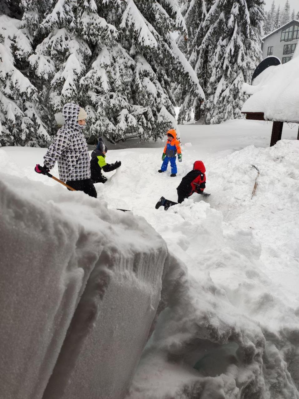 Chalet Sedmica Villa Jahorina Exterior photo